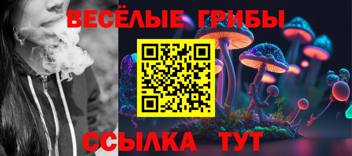 Галлюциногенные грибы мицелий Шатура