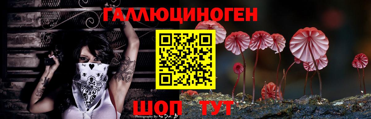 Шатура  Псилоцибиновые грибы MAGIC MUSHROOMS  Вход с VPN 